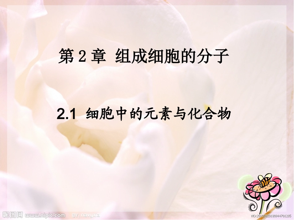 组成细胞的元素_第1页