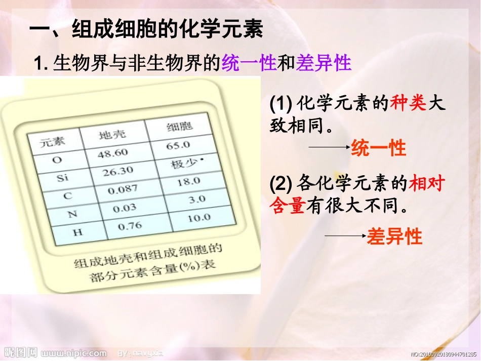组成细胞的元素_第2页