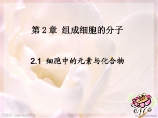 组成细胞的元素