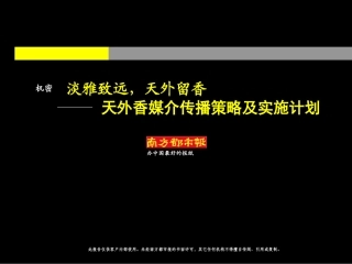 天外香媒介传播策略及实施计划