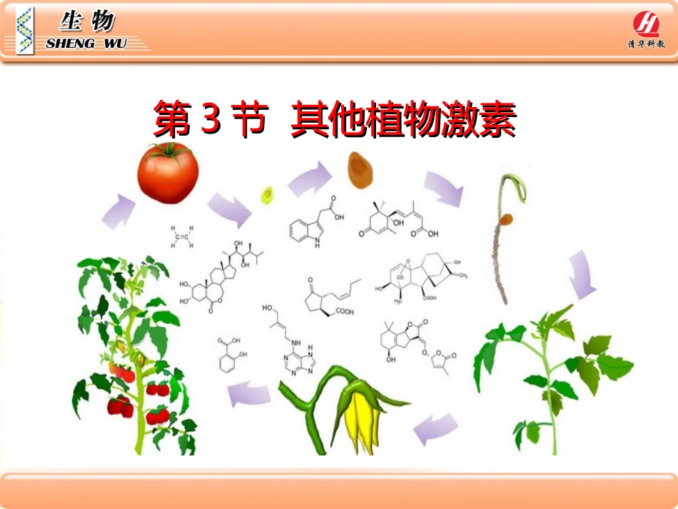 三植物激素的种类_第2页