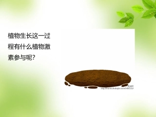 三植物激素的种类