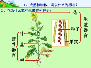 花的结构和植物的繁殖