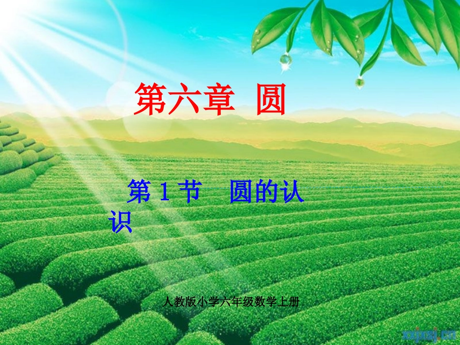 圆的认识-(3)_第1页