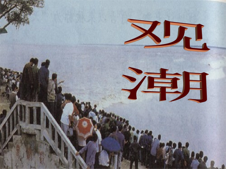 四上语文课件：观潮ppt9_第1页