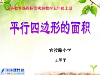 计算工具的认识