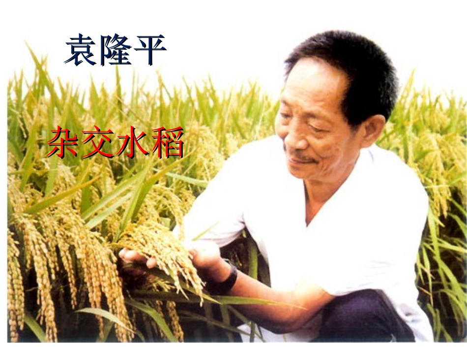 农业的变化真大_第2页