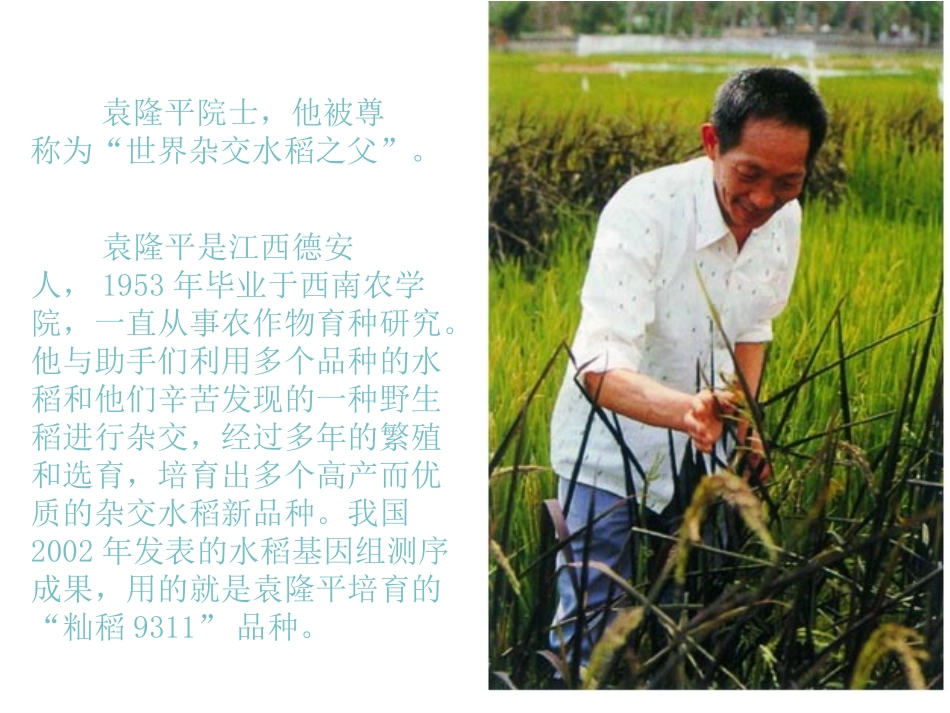 农业的变化真大_第3页
