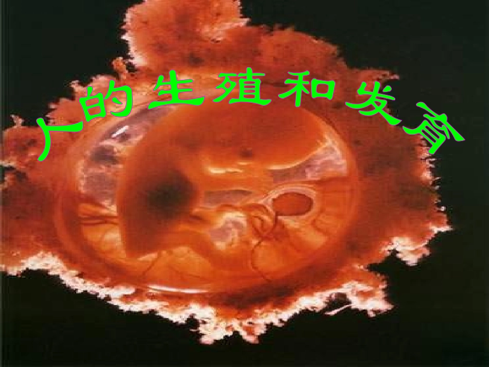 第1节人的生殖和发育_第1页