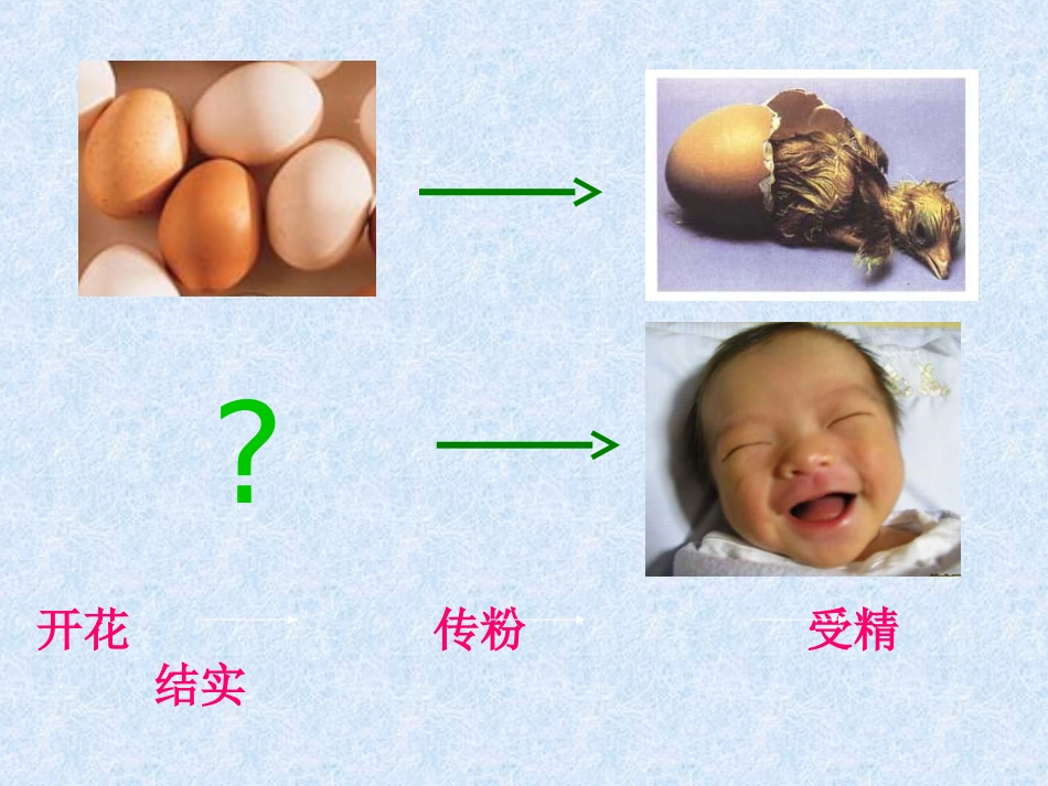 第1节人的生殖和发育_第2页