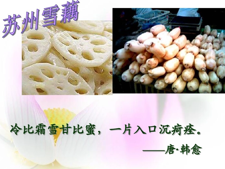 2.藕与莼菜_第2页