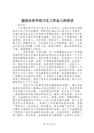 副县长在年初卫生工作会上的讲话发言