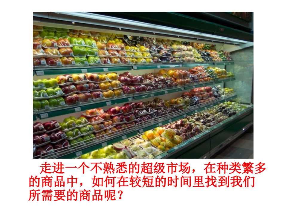 第1节生物的分类-(3)_第2页