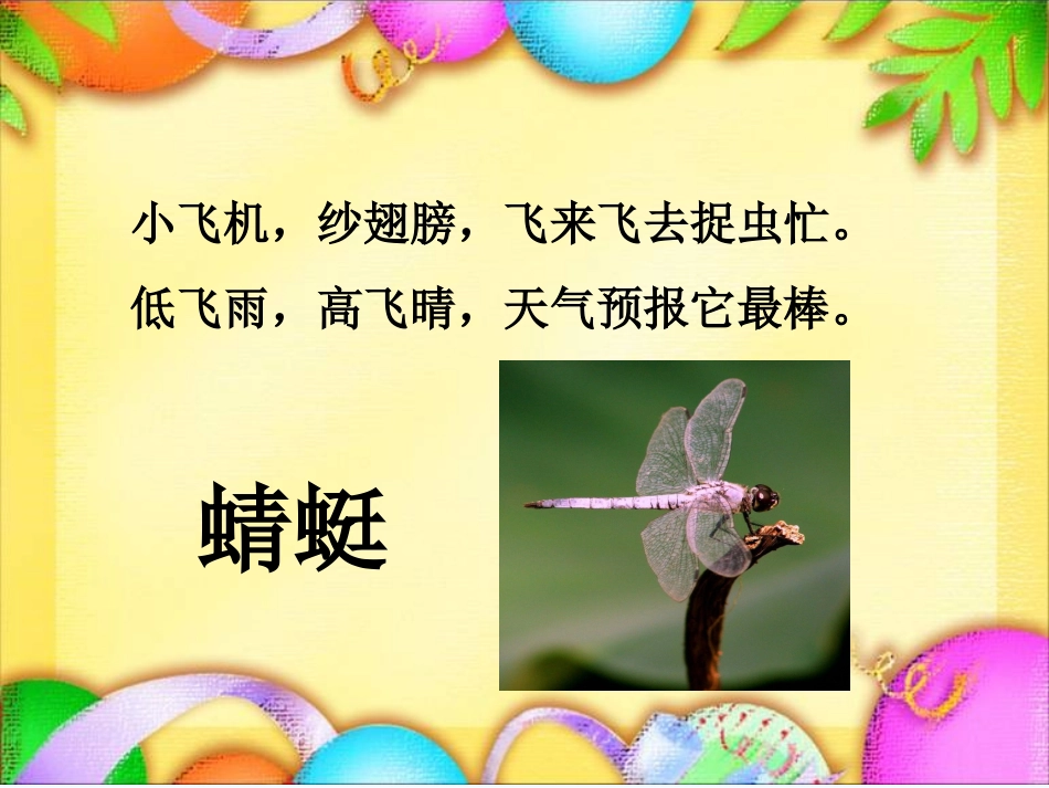 (部编)人教语文2011课标版一年级下册活泼--鲜明_第2页