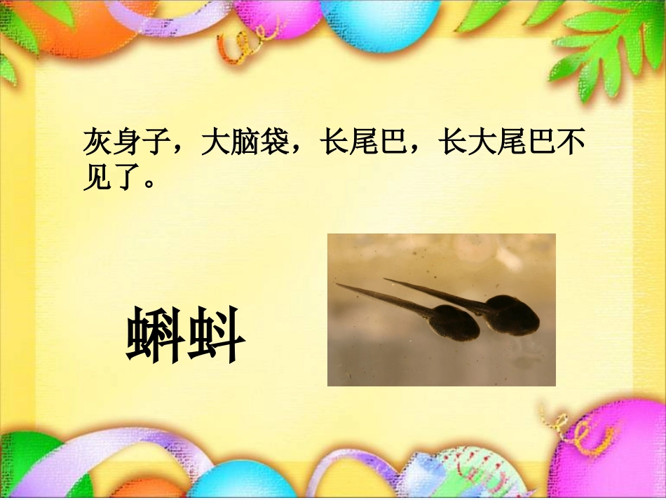 (部编)人教语文2011课标版一年级下册活泼--鲜明_第3页