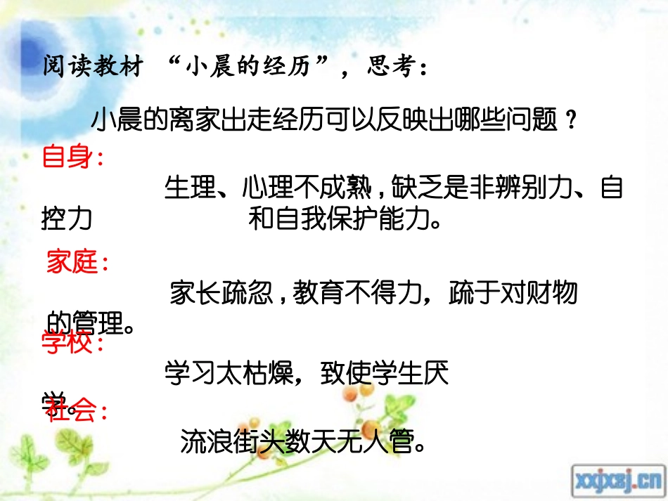 八(1)特殊的保护-特殊的爱_第3页