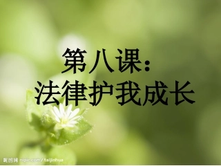 八(1)特殊的保护-特殊的爱