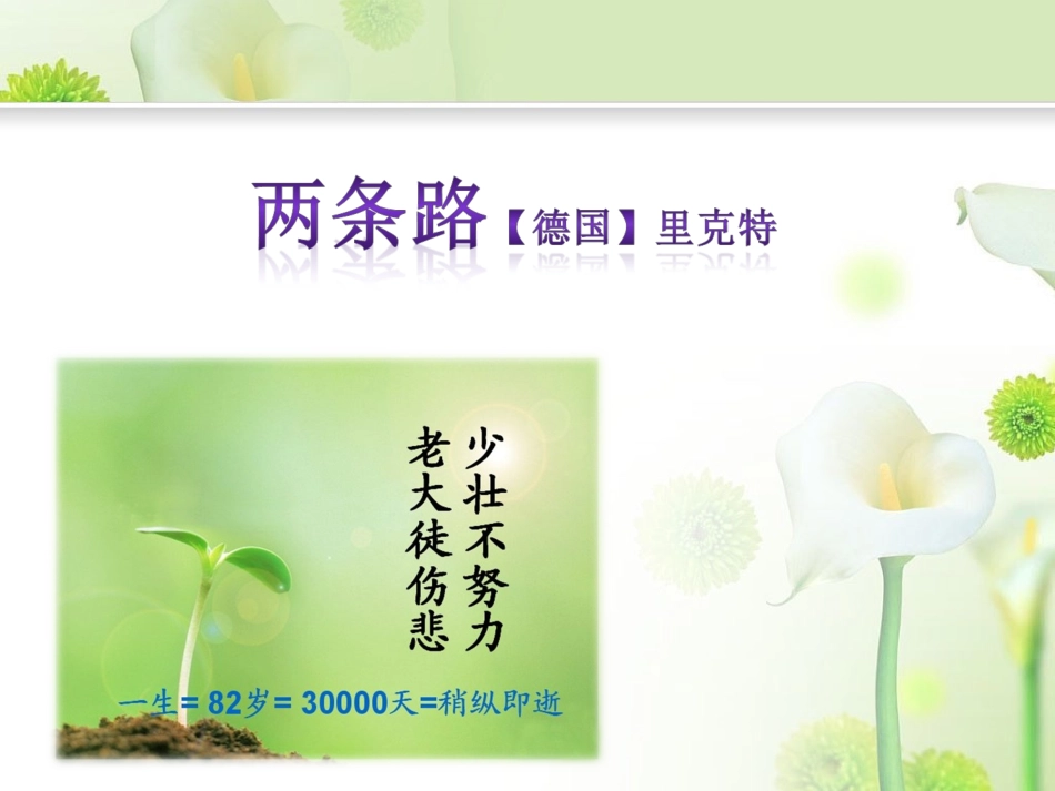 《两条路》课件2_第1页