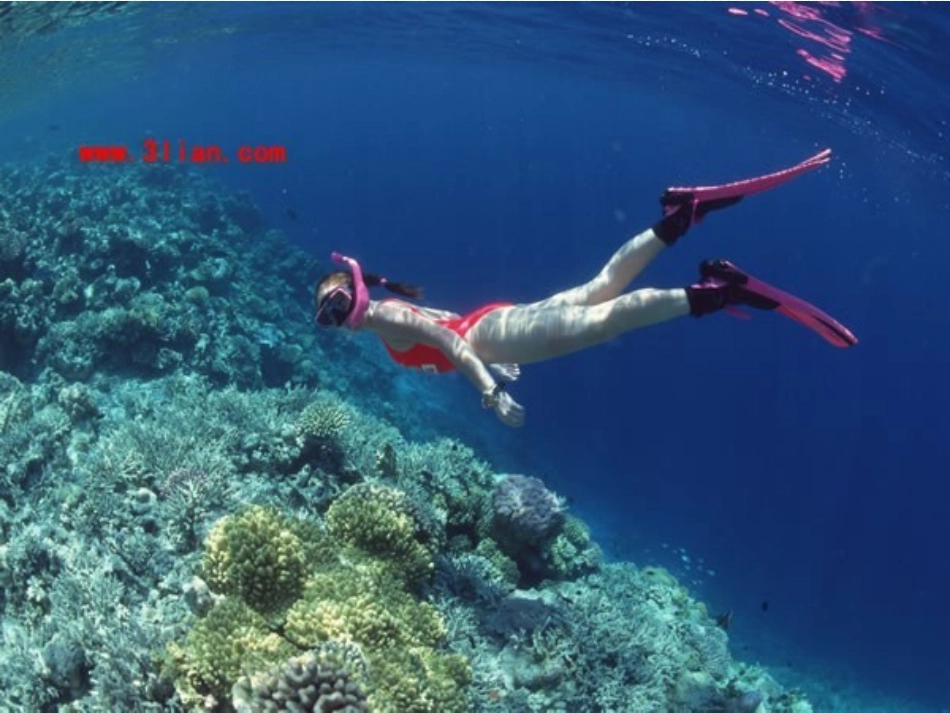 液体内部的压强_第2页