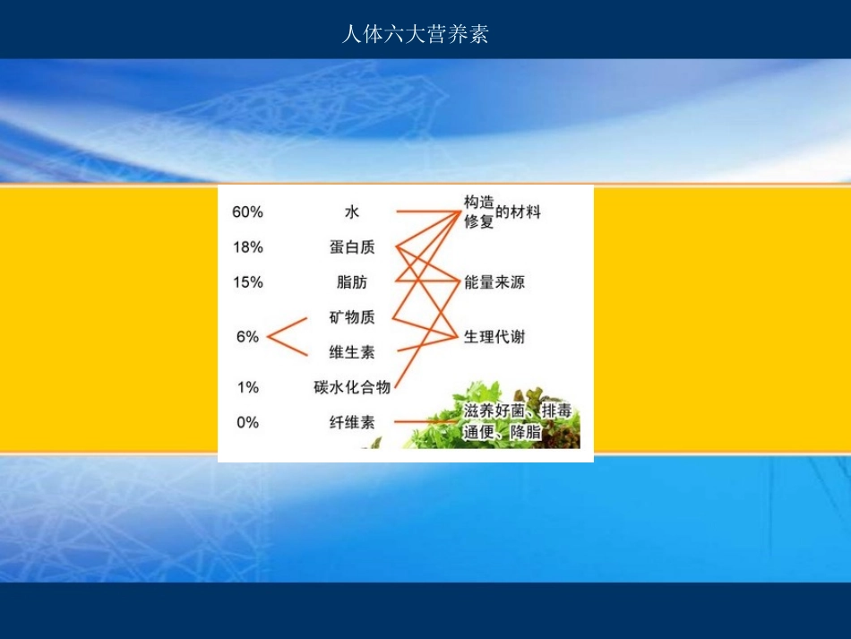 第二单元提供能量与营养的食物-(2)_第2页