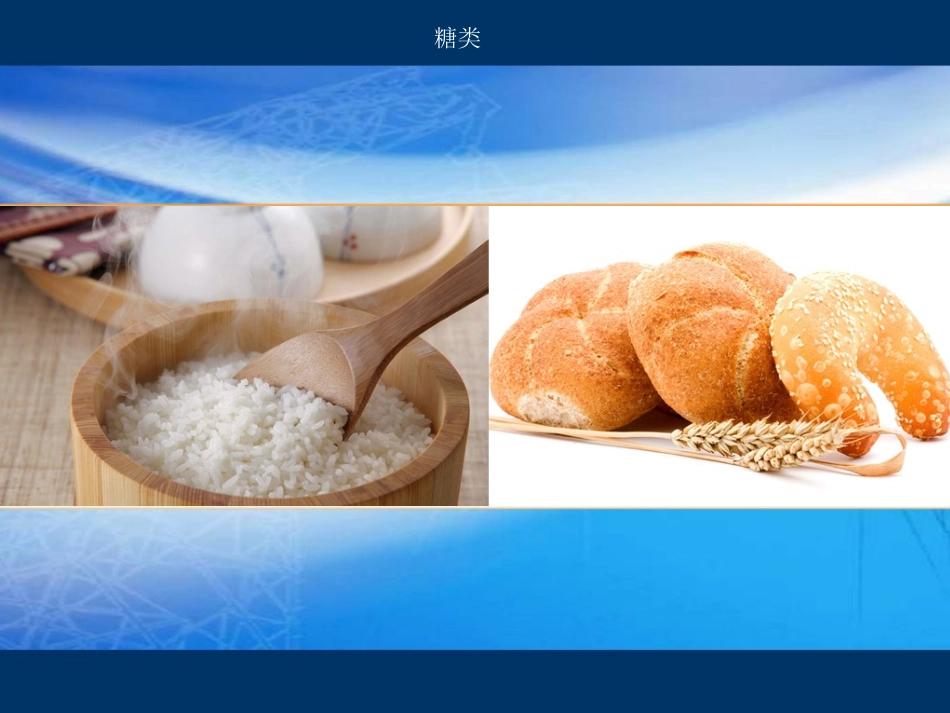 第二单元提供能量与营养的食物-(2)_第3页