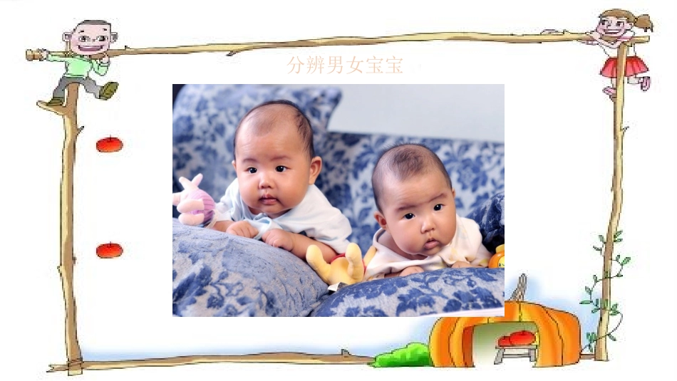 2.青春期第二性征发育的特点_第3页