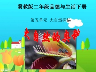 5.16大自然的奥秘