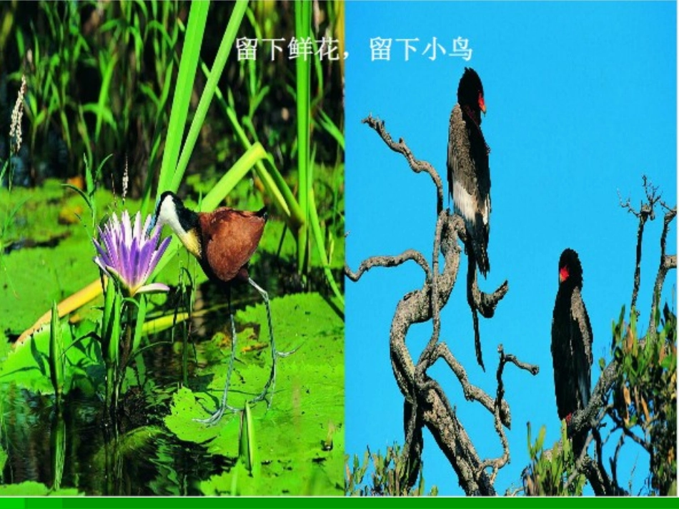 爱我中华-(3)_第3页