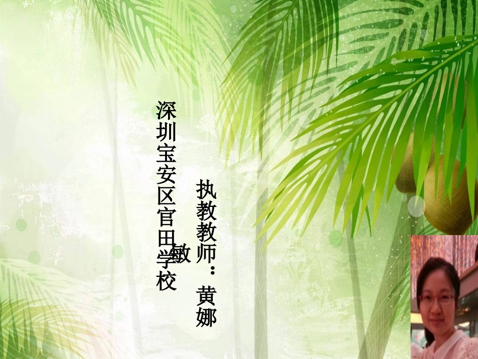 凤头巧饰文出俏--春云初展百媚生_第1页