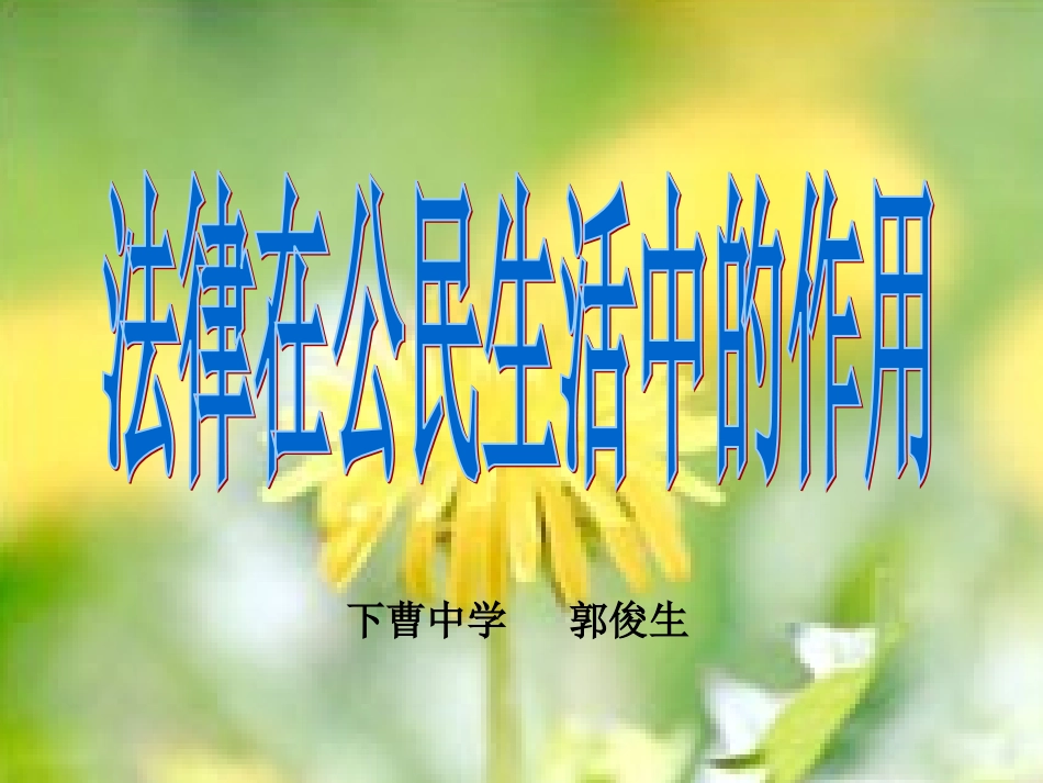 法律在公民生活中的作用_第1页