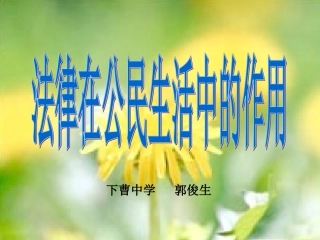 法律在公民生活中的作用