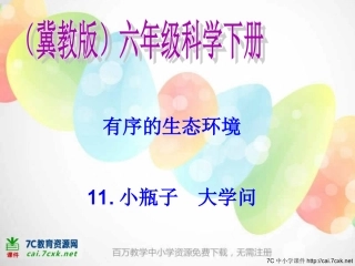 11小瓶子大学问