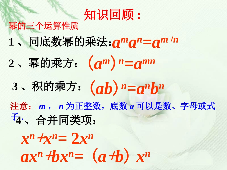 《单项式的乘法》课件1_第2页