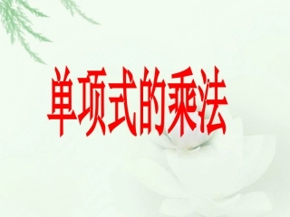 《单项式的乘法》课件1
