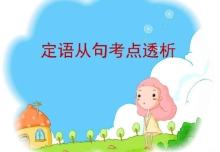 定语从句考点透析