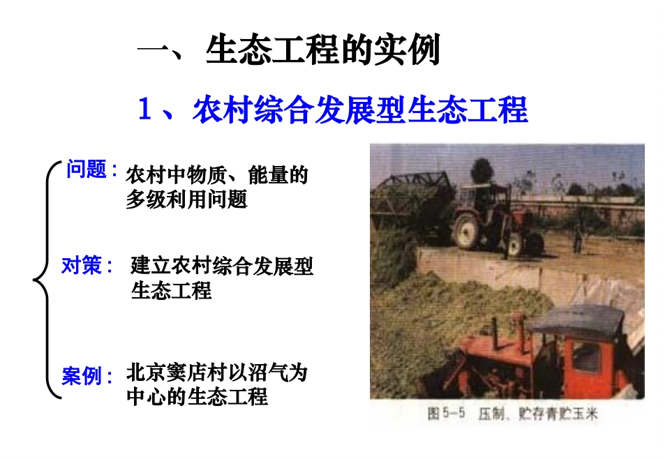 5.2-生态工程的实例和发展前景_第3页