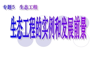 5.2-生态工程的实例和发展前景
