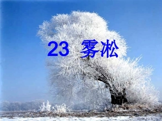 23雾凇-PPT