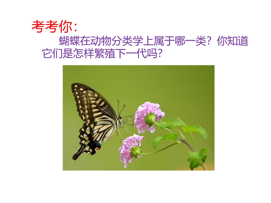 《第三节-昆虫的生殖与发育》课件7_第2页