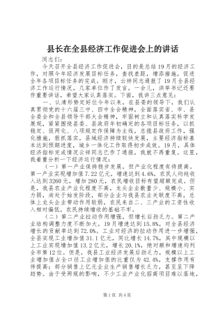 县长在全县经济工作促进会上的讲话发言