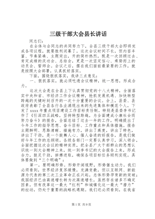 三级干部大会县长讲话发言