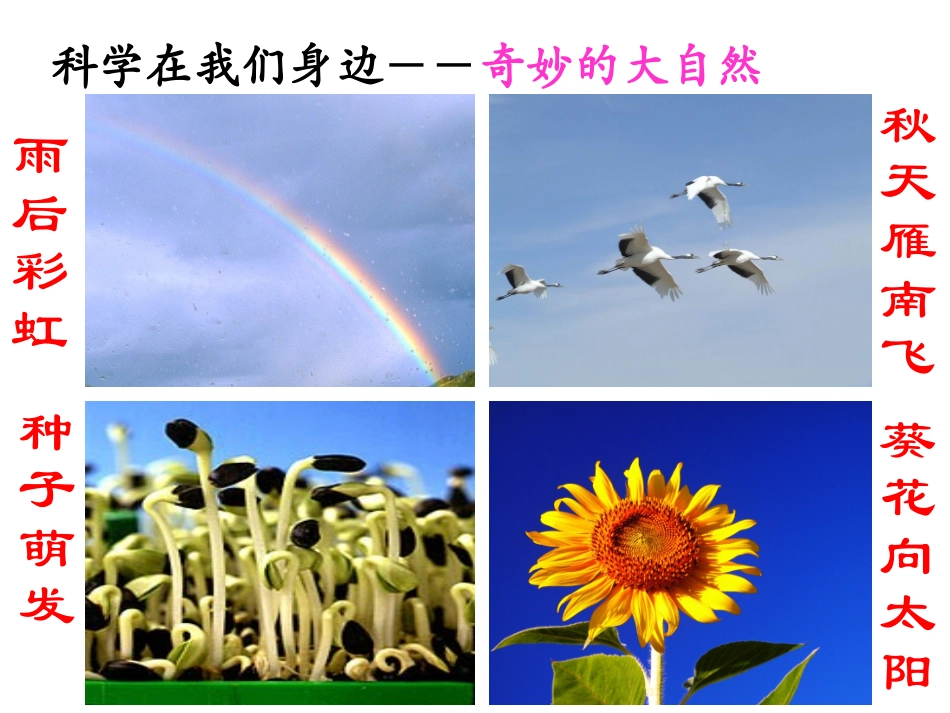 《第1节-科学并不神秘》课件1_第3页