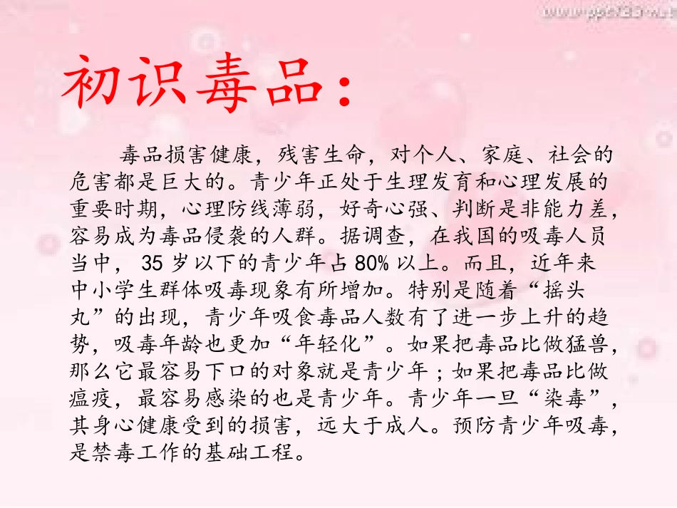 5.参与禁毒宣传活动_第3页