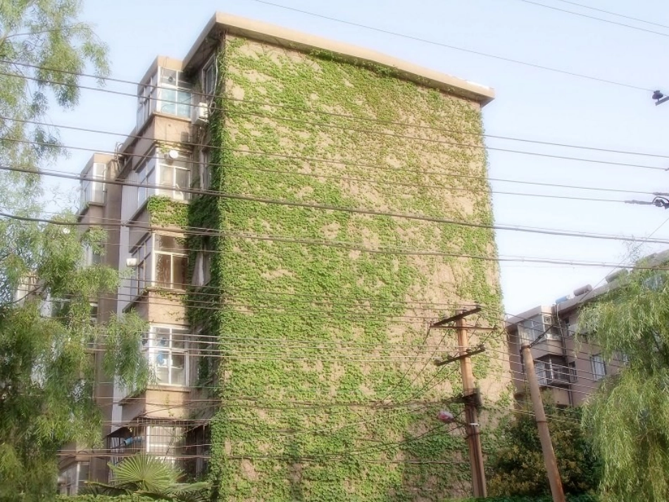 四年级上学期《爬山虎的脚》教学设计_第2页