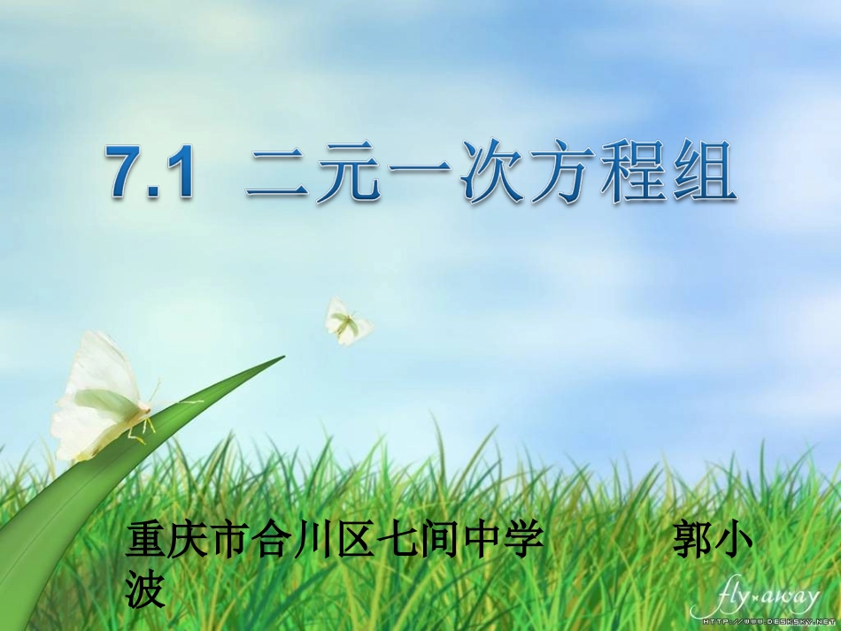 7.1二元一次方程组和它的解-(4)_第1页