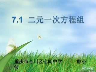 7.1二元一次方程组和它的解-(4)