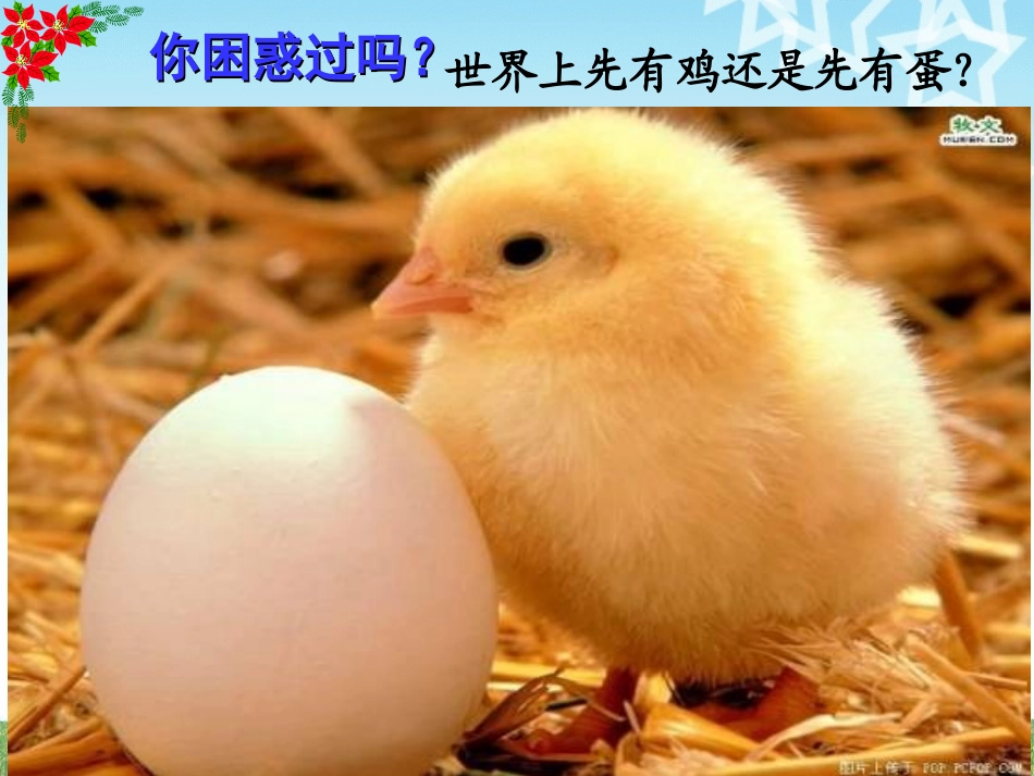 现代达尔文主义-(2)_第1页
