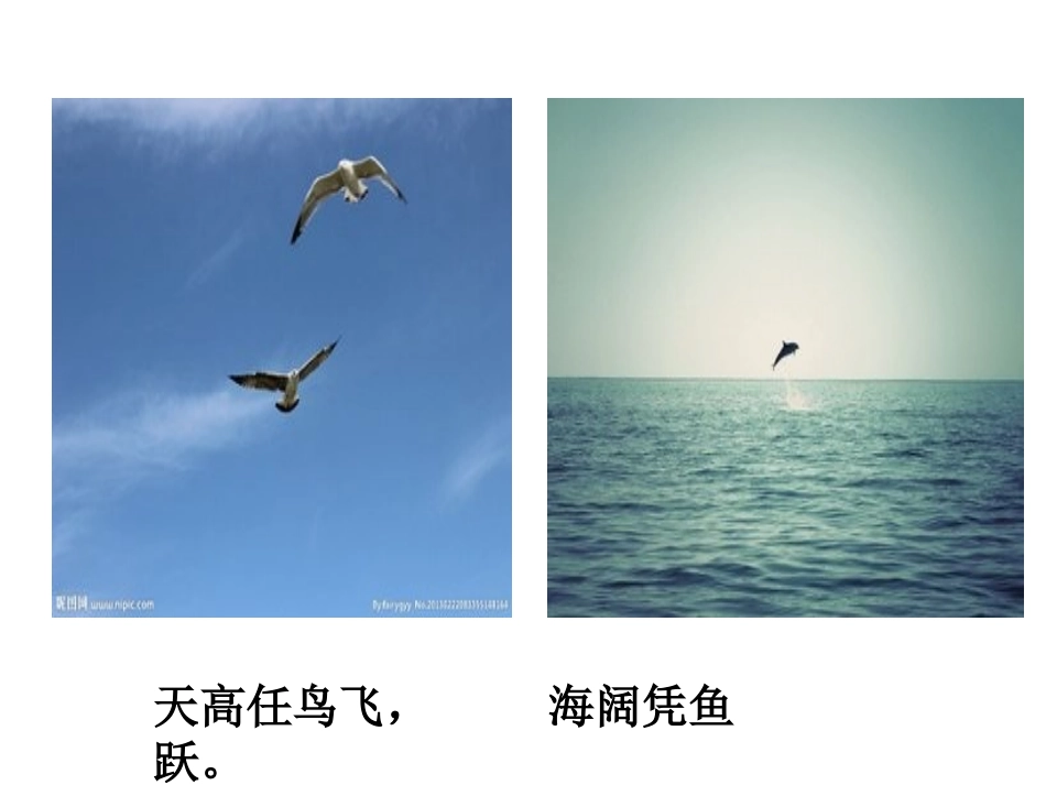 自由平等的真谛-(5)_第2页