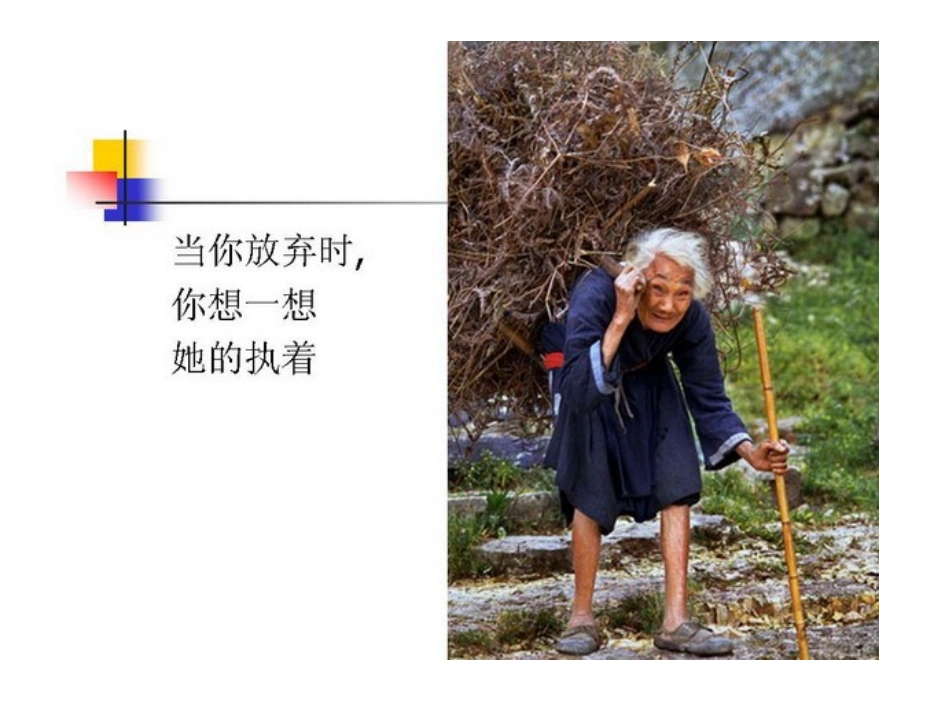 第七课关注弱势群体_第3页