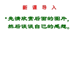 第七课关注弱势群体